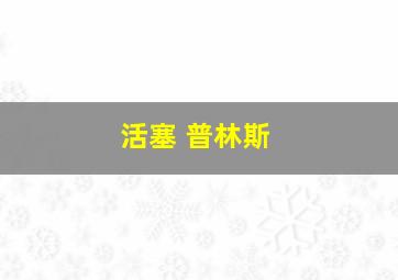 活塞 普林斯